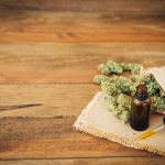 Understanding the Role of Terpenes in Herbal Products