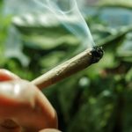 Eco-Friendly Smoking: Sustainable Practices in Herbal Consumption